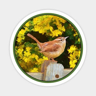 Carolina Wren Painting - Cute Original Bird Art Magnet